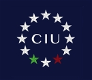Confederazione Italiana di Unione delle Professioni intellettuali